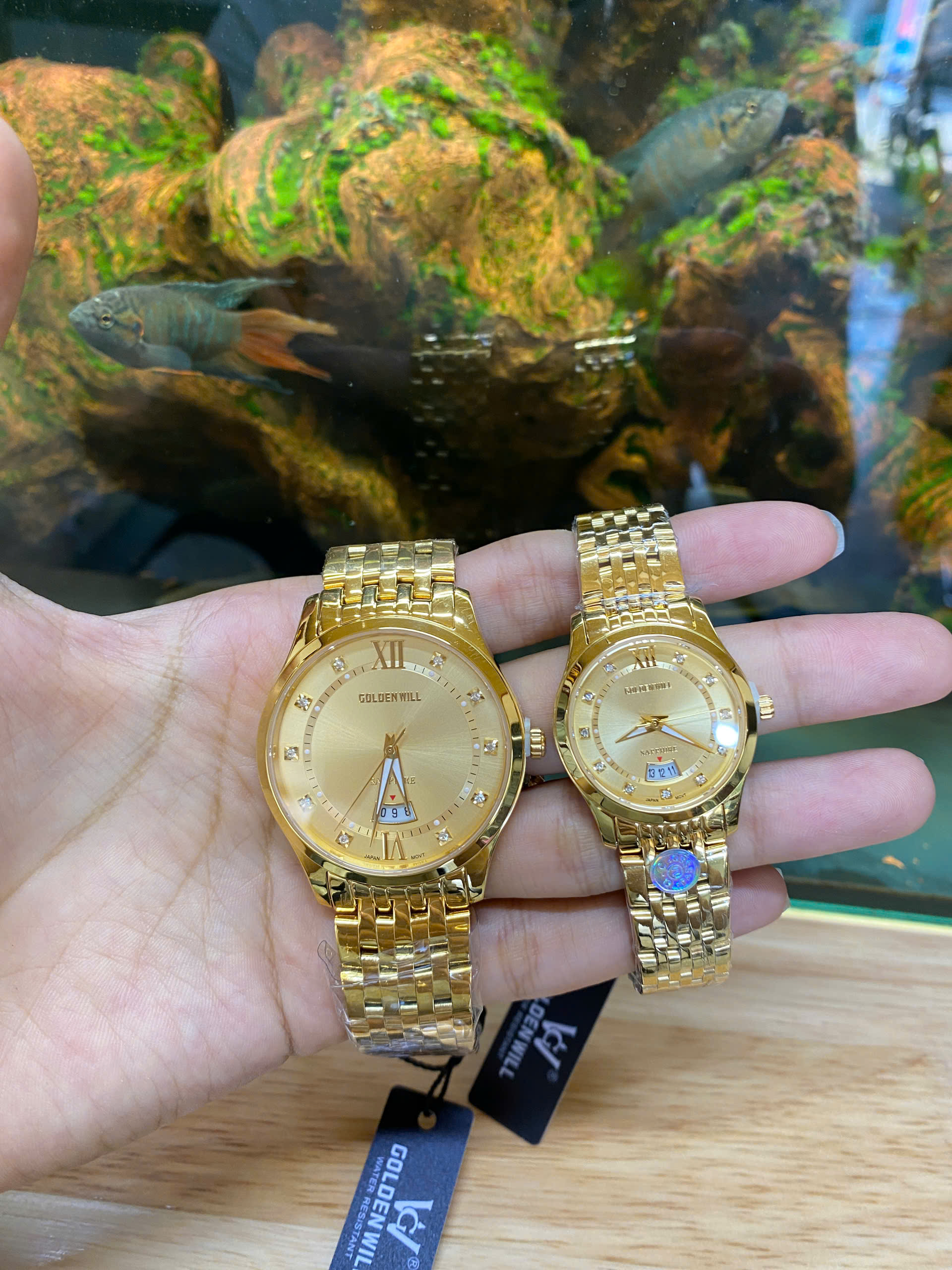 z6979983187295_063c9da23f7b899ae8e69d519fbc353c