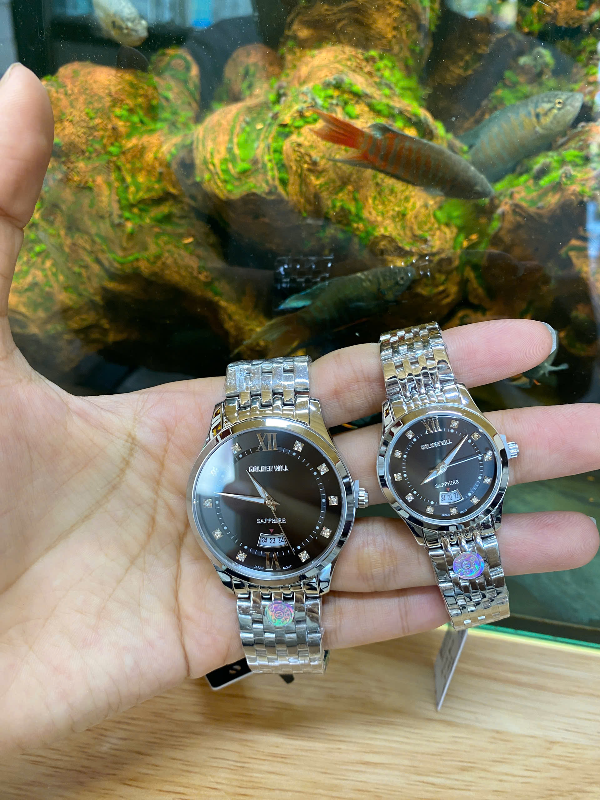 z6979983194541_5b624ff2f07249dbbdf7ca6eca84761b