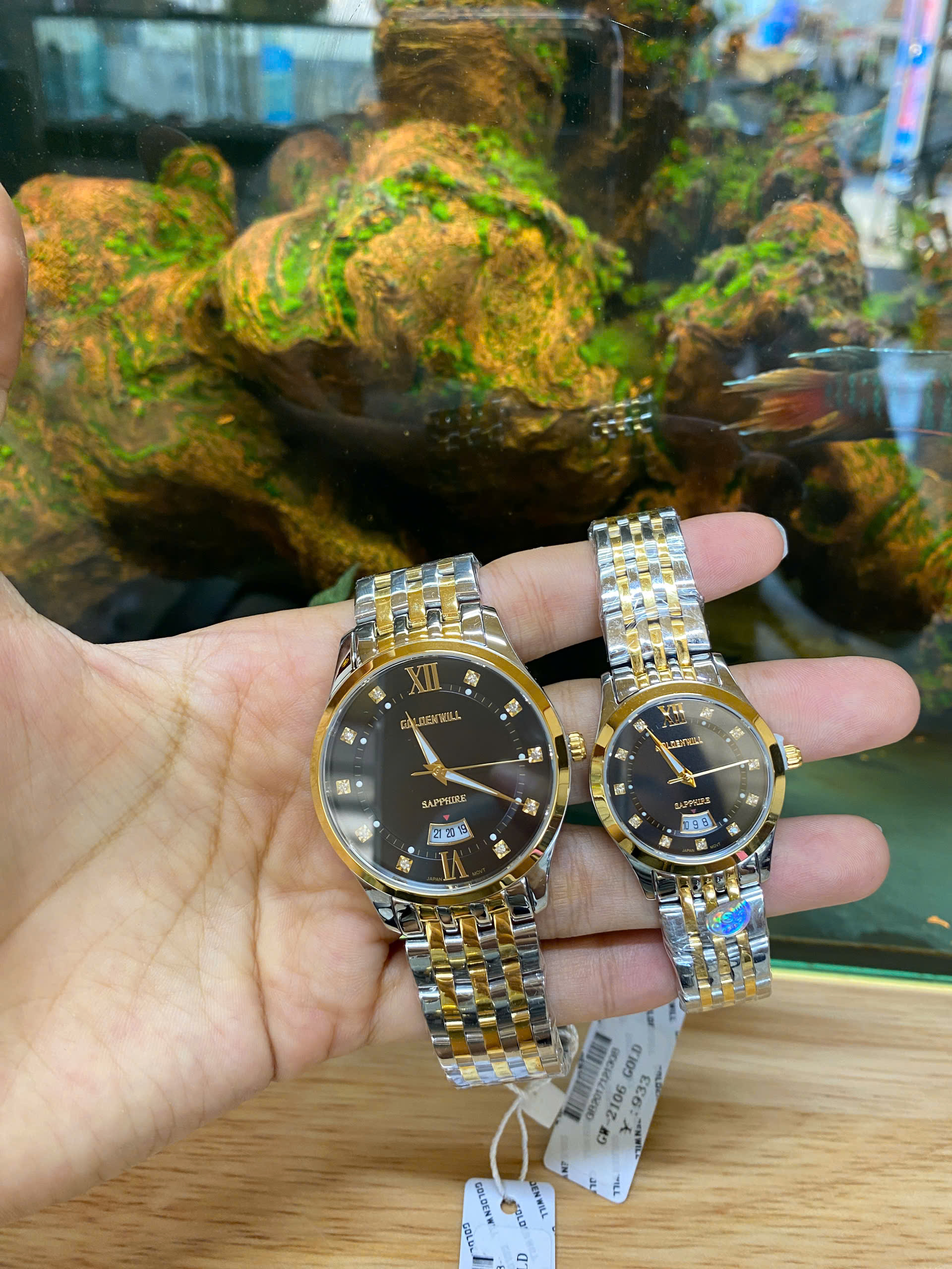 z6979983208329_5a3eaa2299ef6b8c14719a23d6d2c480