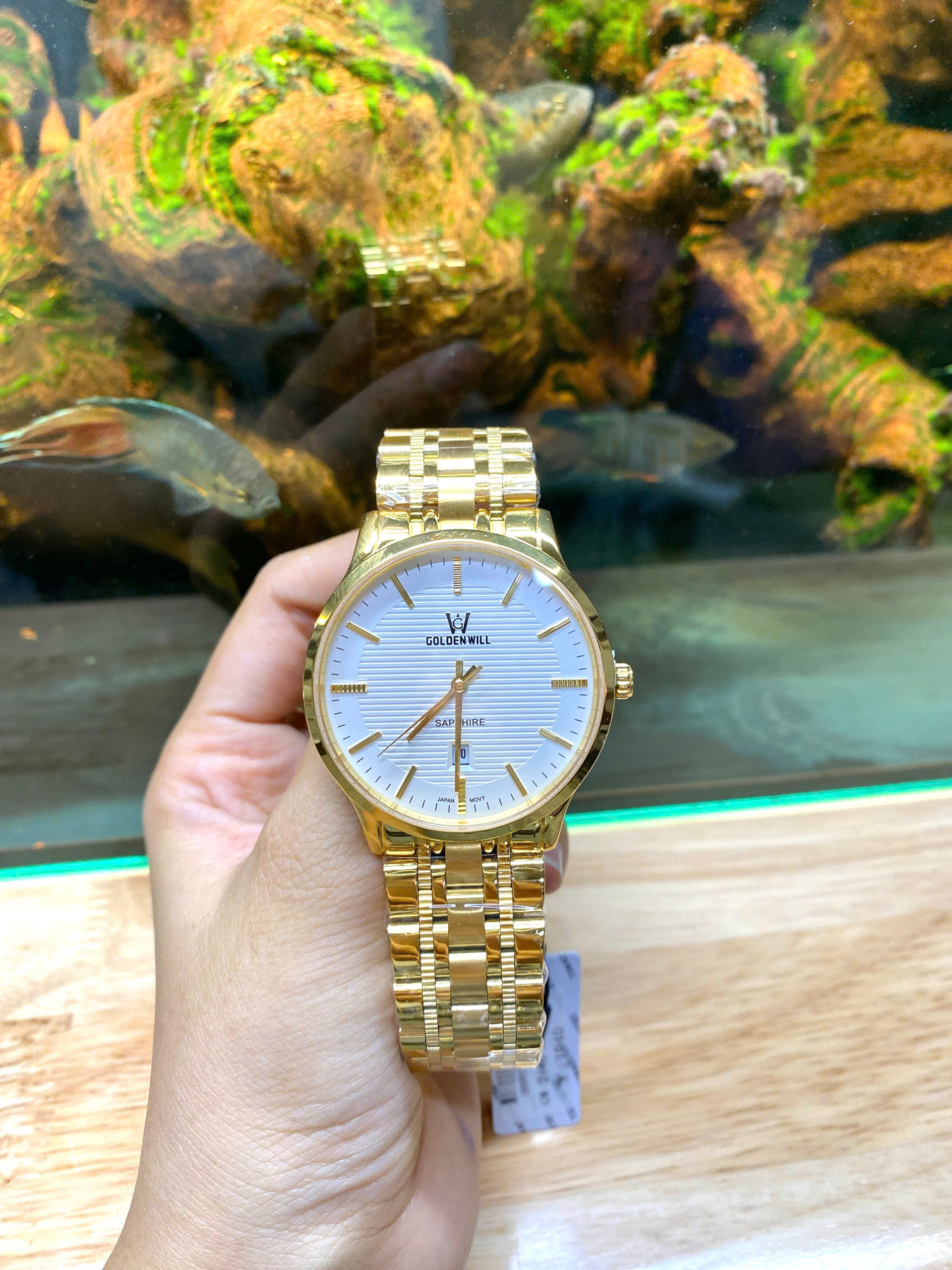 z6981103928438_fdfb7e181e1552a48536484fc106c7eb