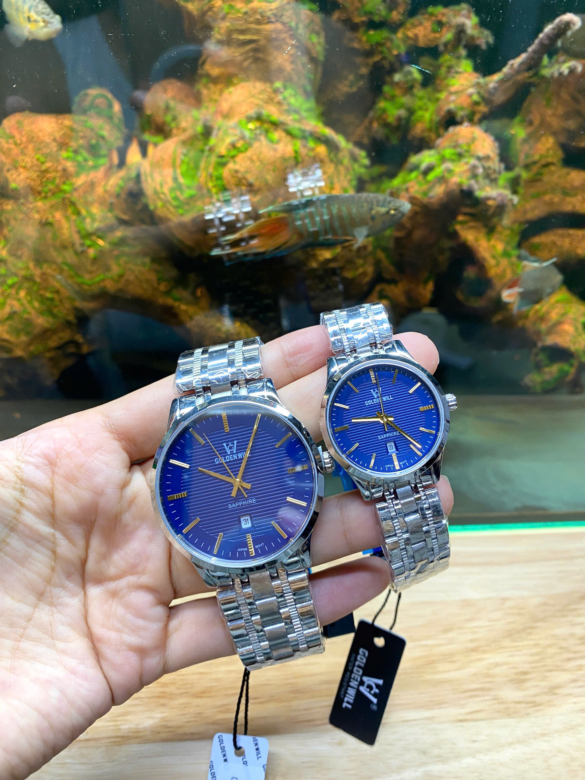 z6981104057718_1b8a11bf23df839f29a04421652d25db