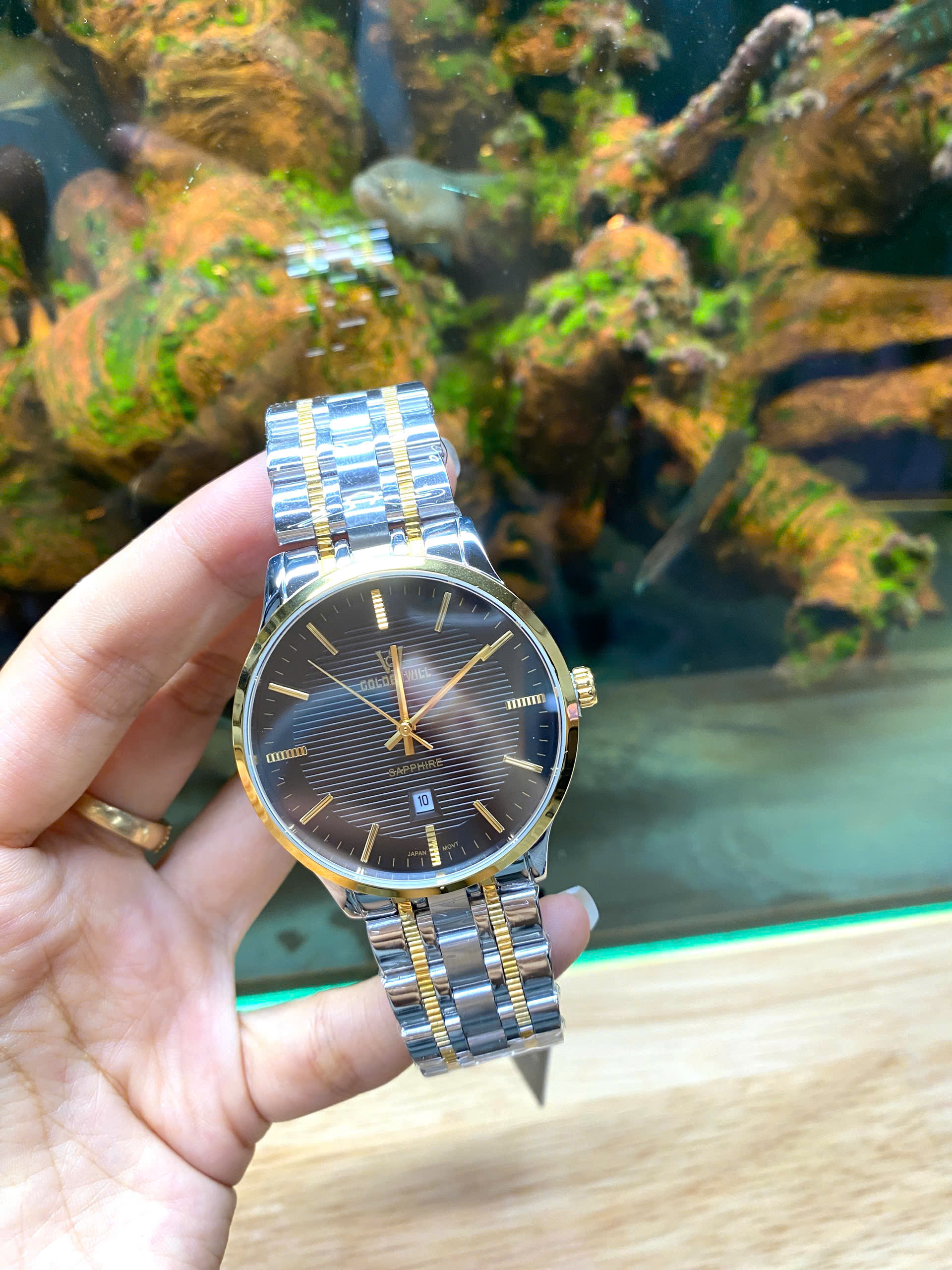 z6981104083057_e1d98431ed54393faa2459b258afdebe