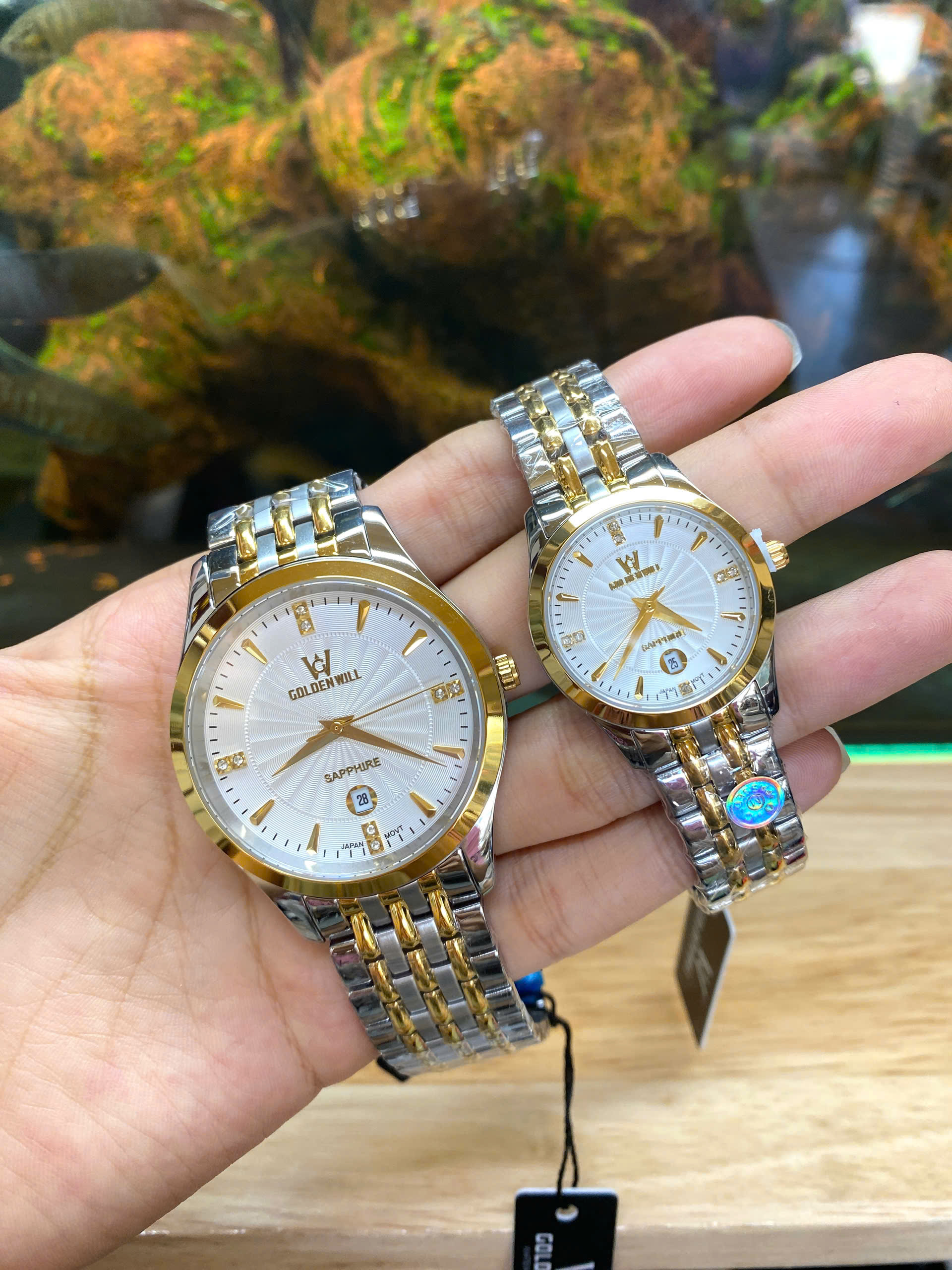 z6982134313140_8d2e0ea7a996baa0d65a54e8371a26b9