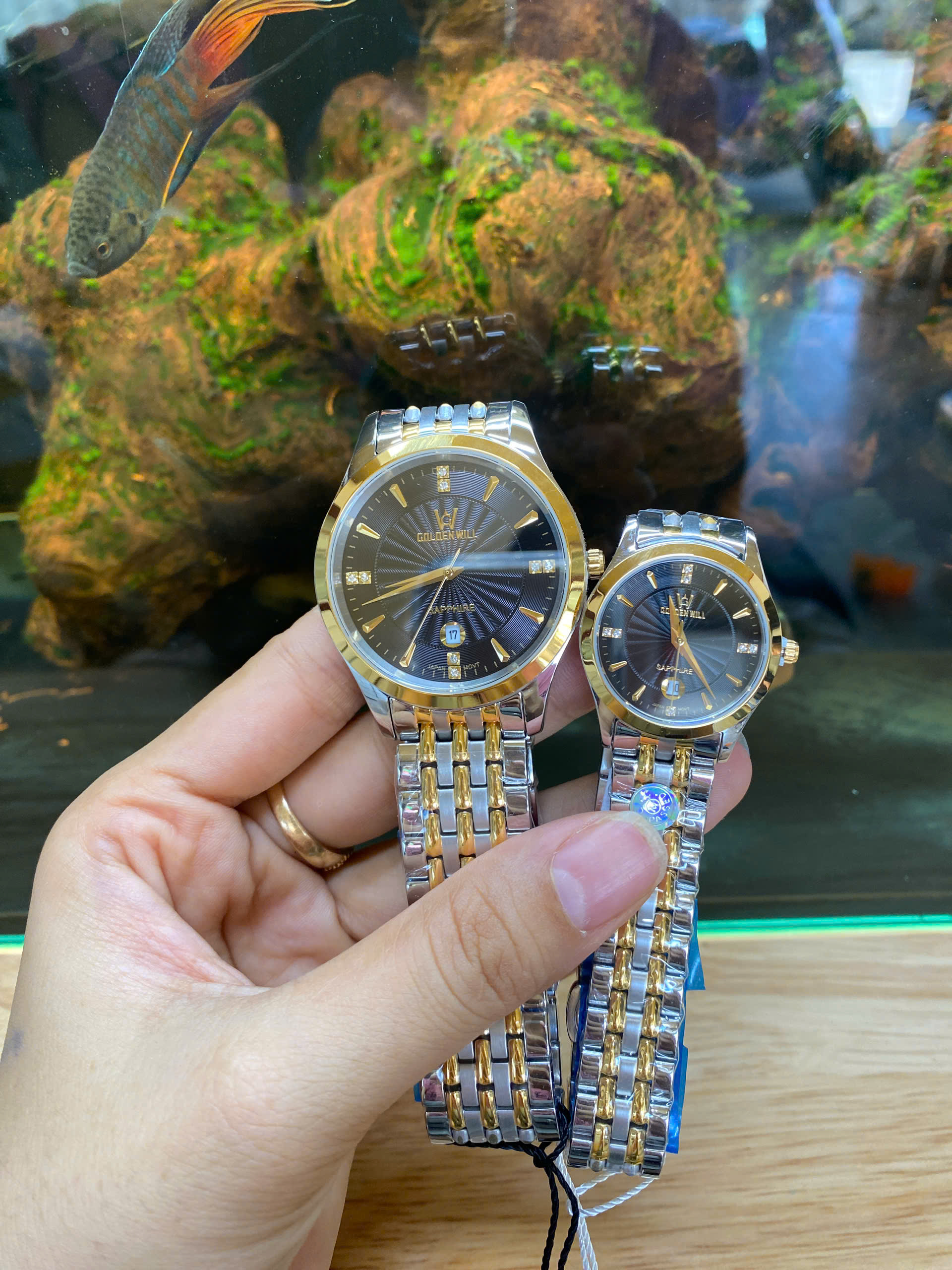 z6982134326197_a8545ac03c33f170af19ce5906286ea4