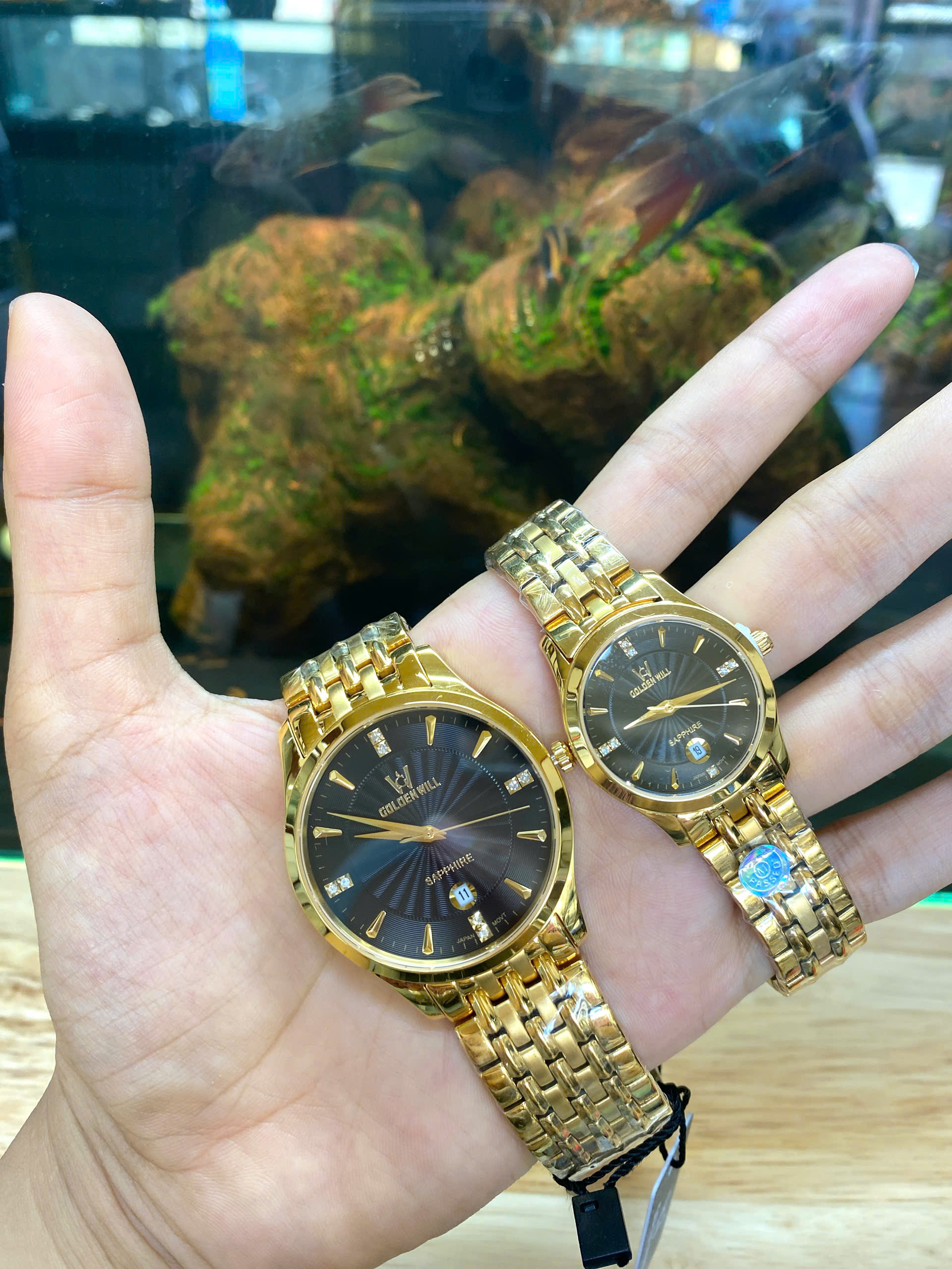 z6982134342409_e48e6d217a85f747667a015957af8c31