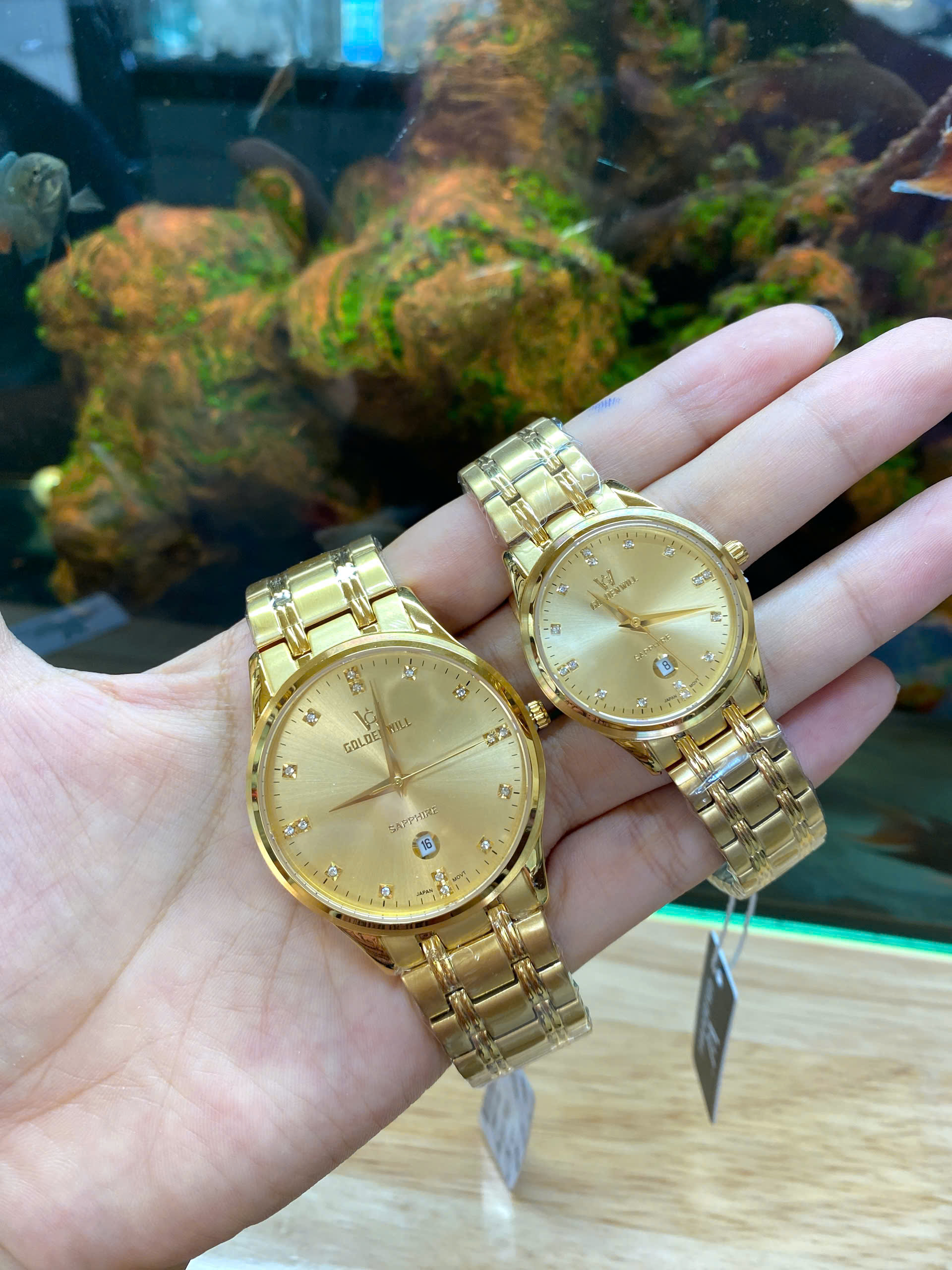 z6982390442678_0d81cb8c3f22fb04d518f201311278ee