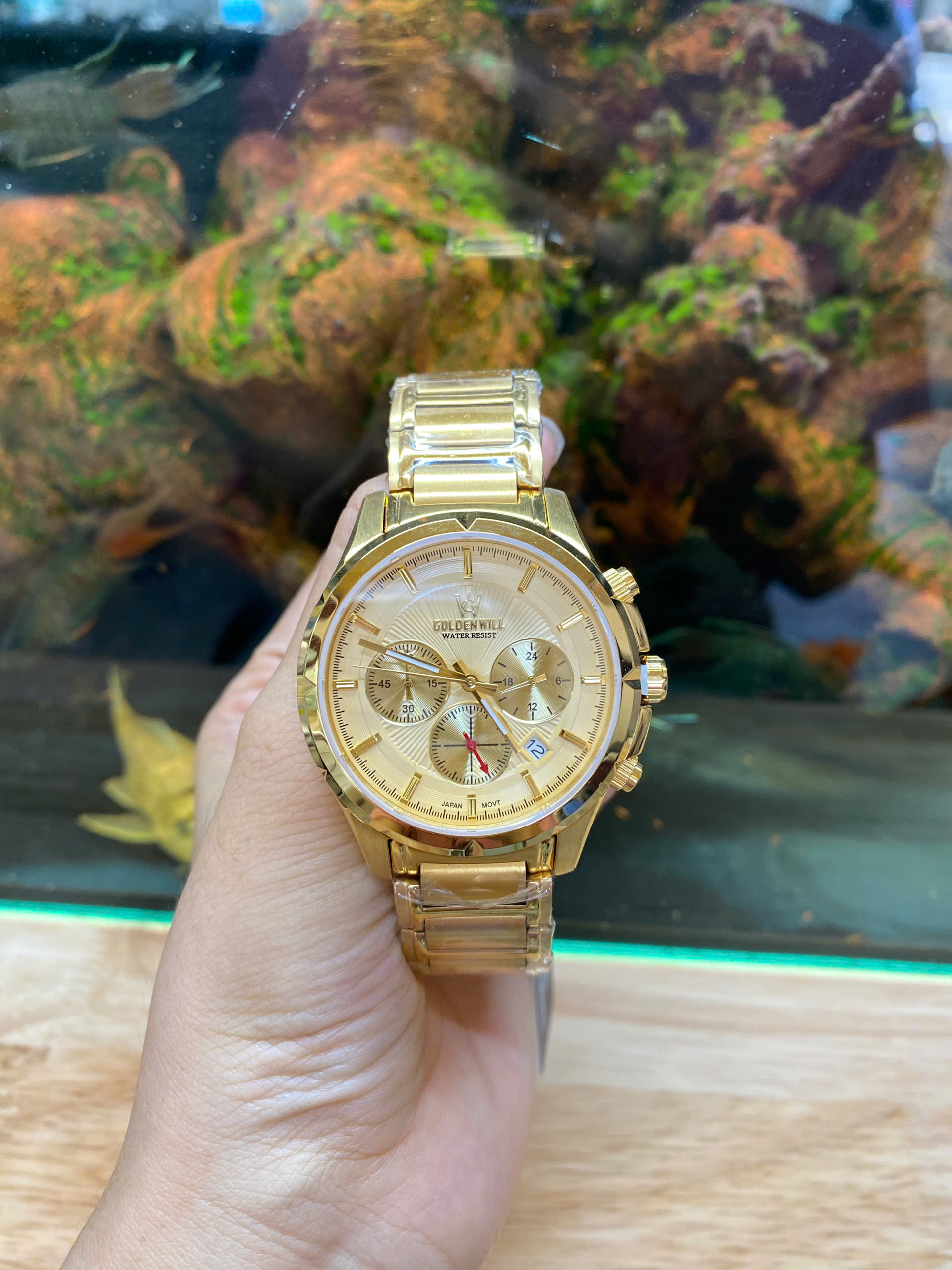 z6982443756458_3d677f589347c16ea295494cc4371dfe