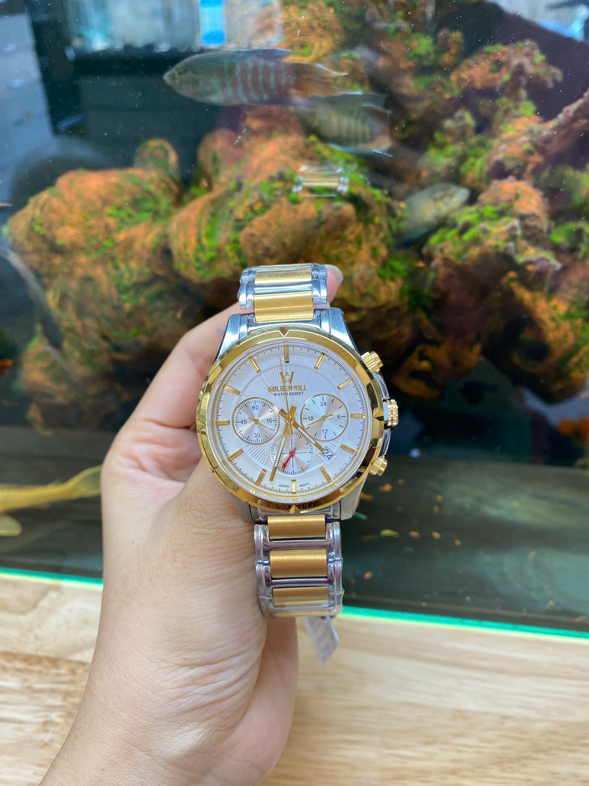 z6982443763027_69bfcd19cdc894b3ecf2b57908da9d77