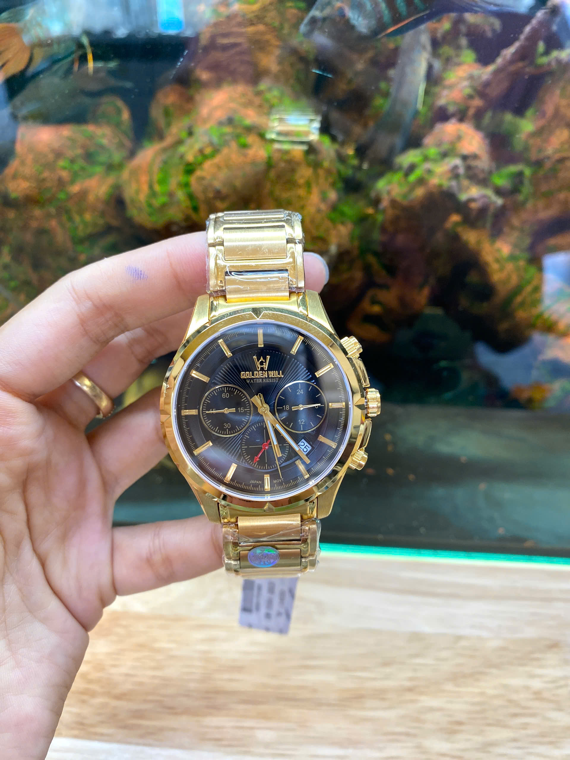 z6982443766931_d58286edff0f37547b95530df99ec3f4