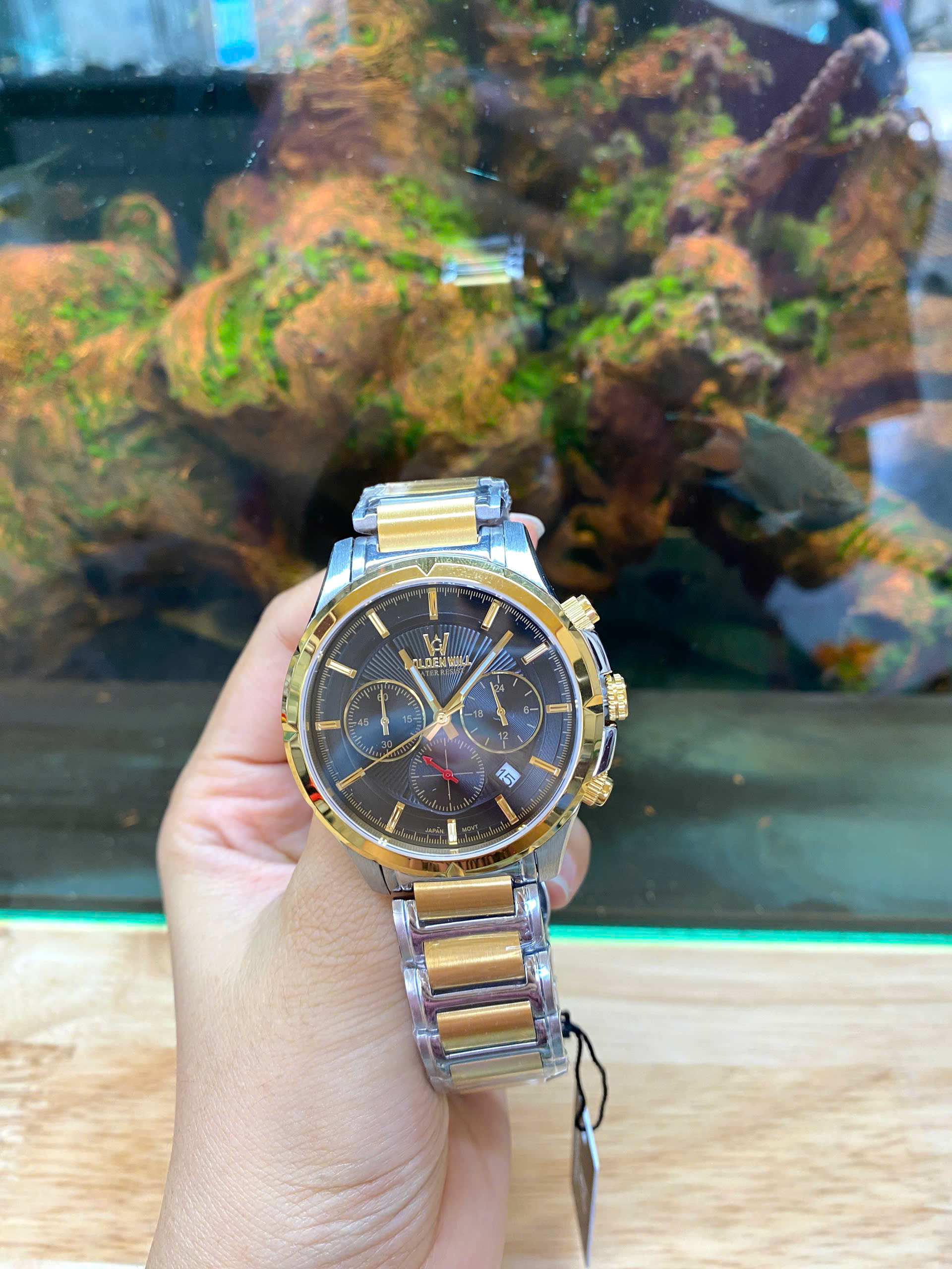 z6982443774904_6b9db2f6606325d73b593d57b7008df6