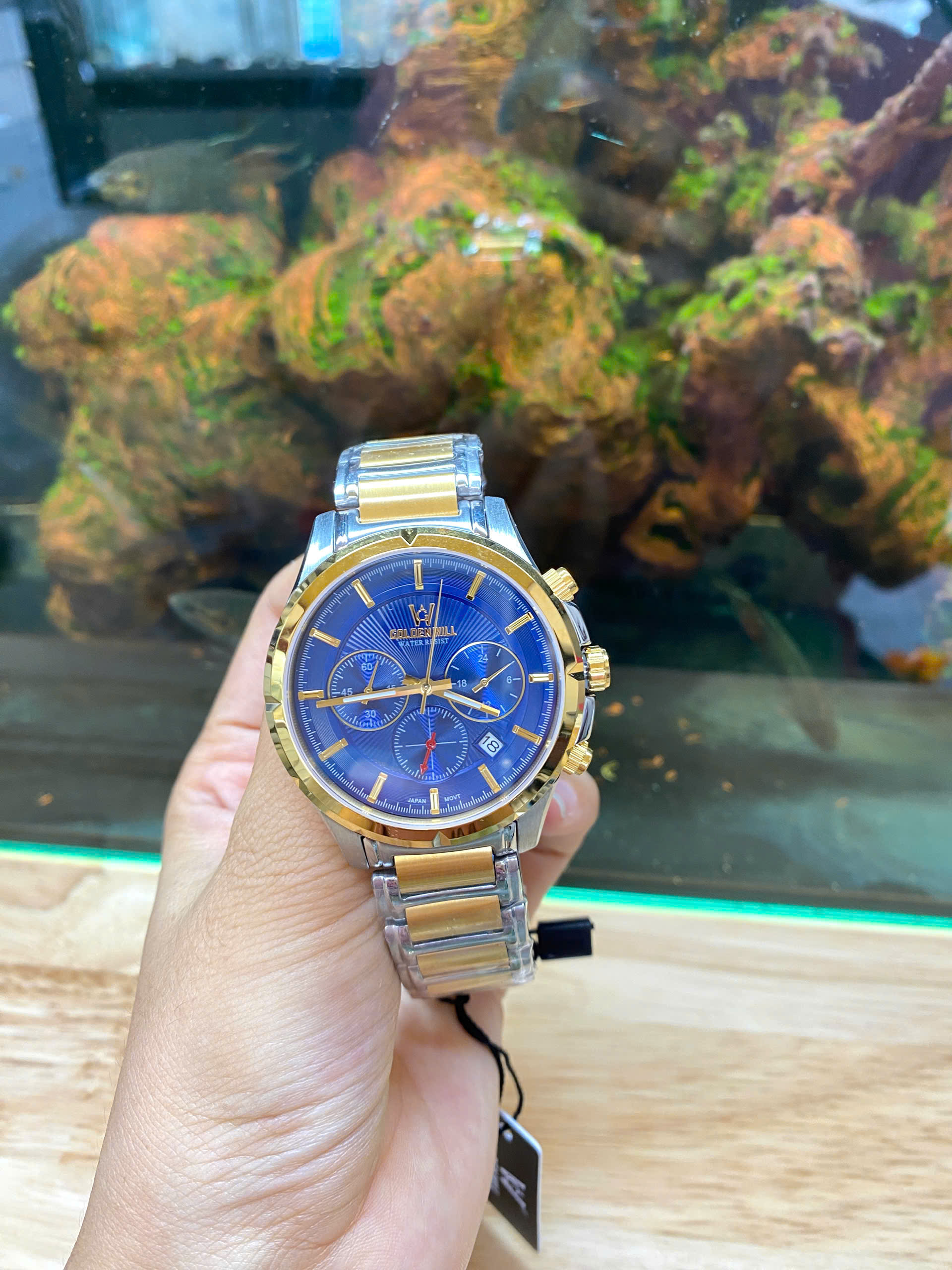 z6982443780551_79b5c4ffcd83f4501ce8f45ce7b05c60