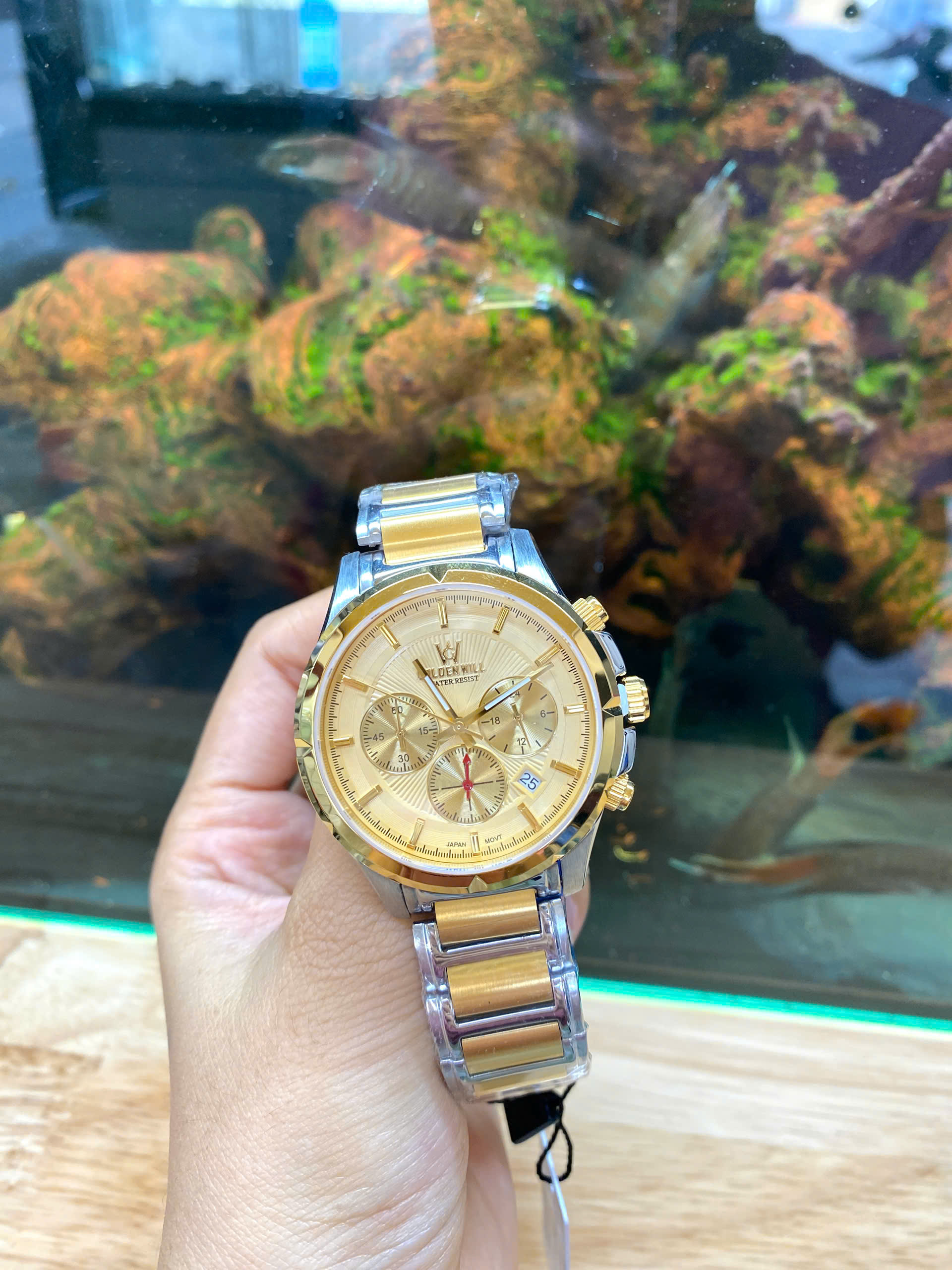 z6982443798080_605d4a971fbbfc71ee6f567e88f1cad6