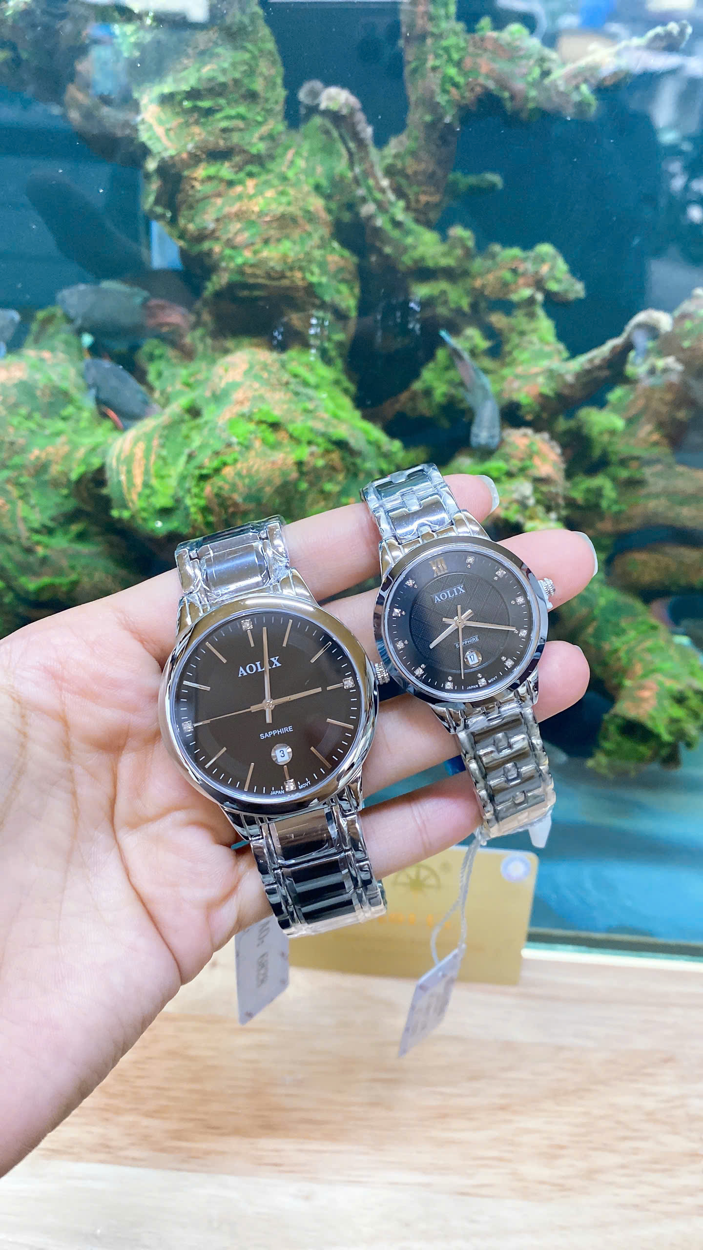 z7195383934213_6b9138d3f7d8c0030aab7472ce081660