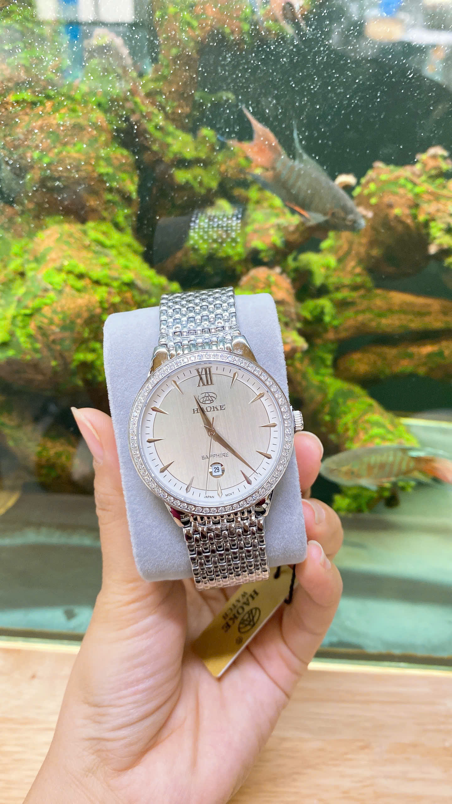 z7240732813512_2b70a2f1467a7094d0b30c0391f34163