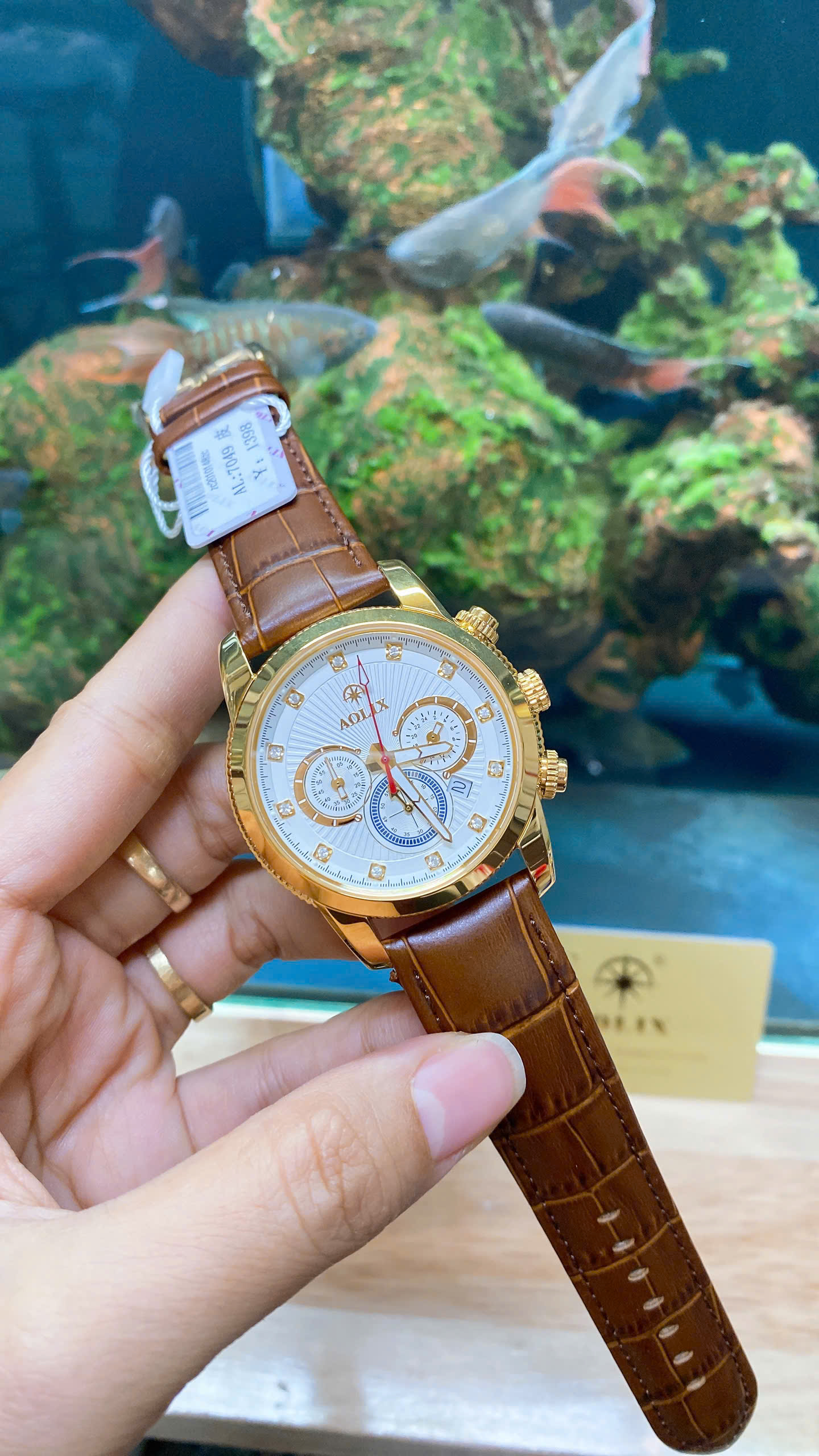 z7187775885555_0cbb99b2ff1b06b7a78a7bec84de5f11