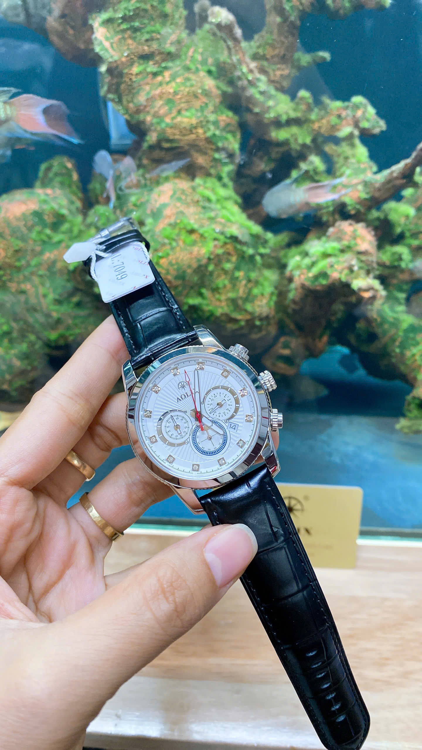 z7187775889868_dd0996d21a683281f5cdb1bacfabe2eb