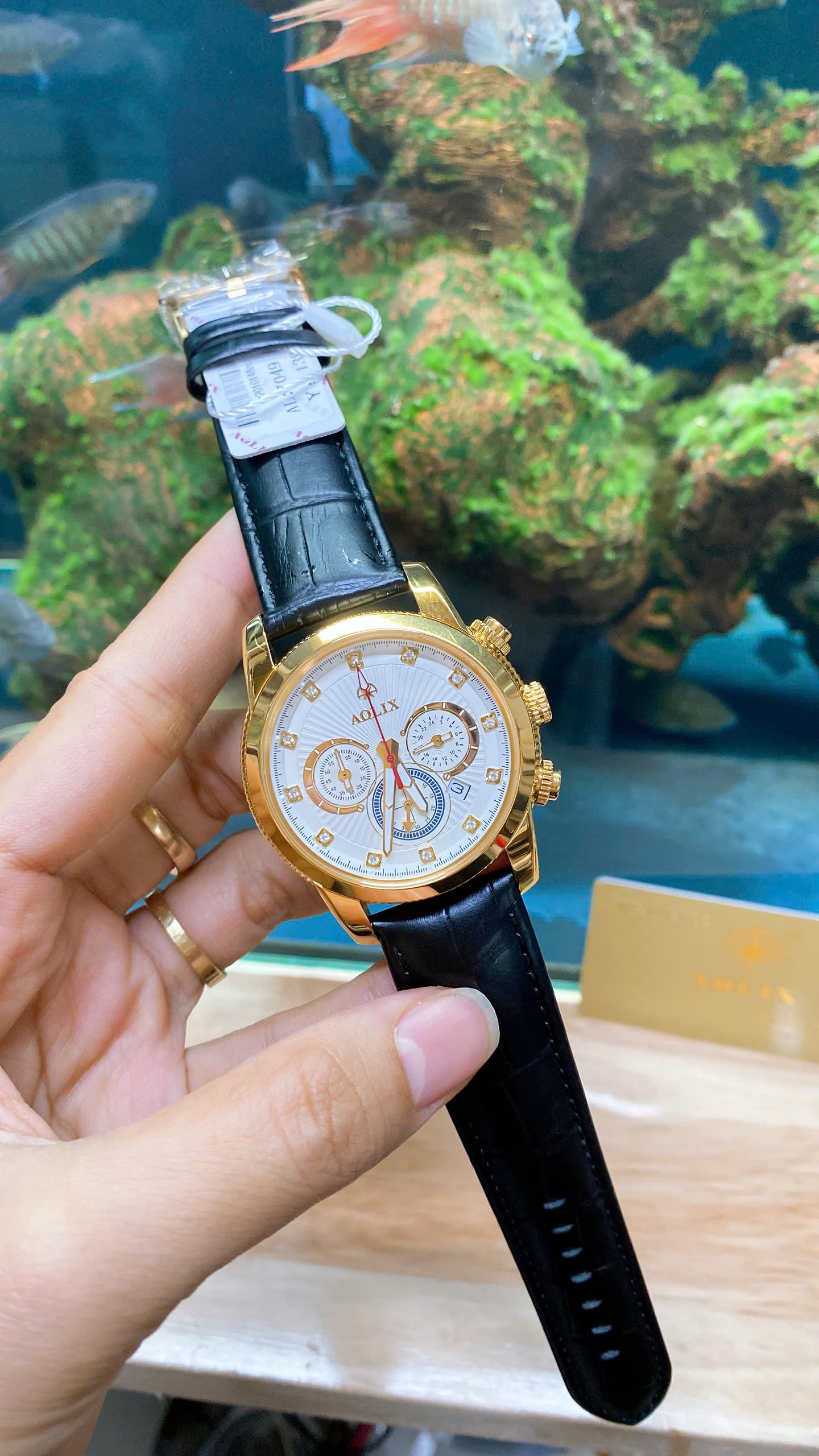 z7187775894797_2a96c84cdf0249191ab9a3bb17e15b9b