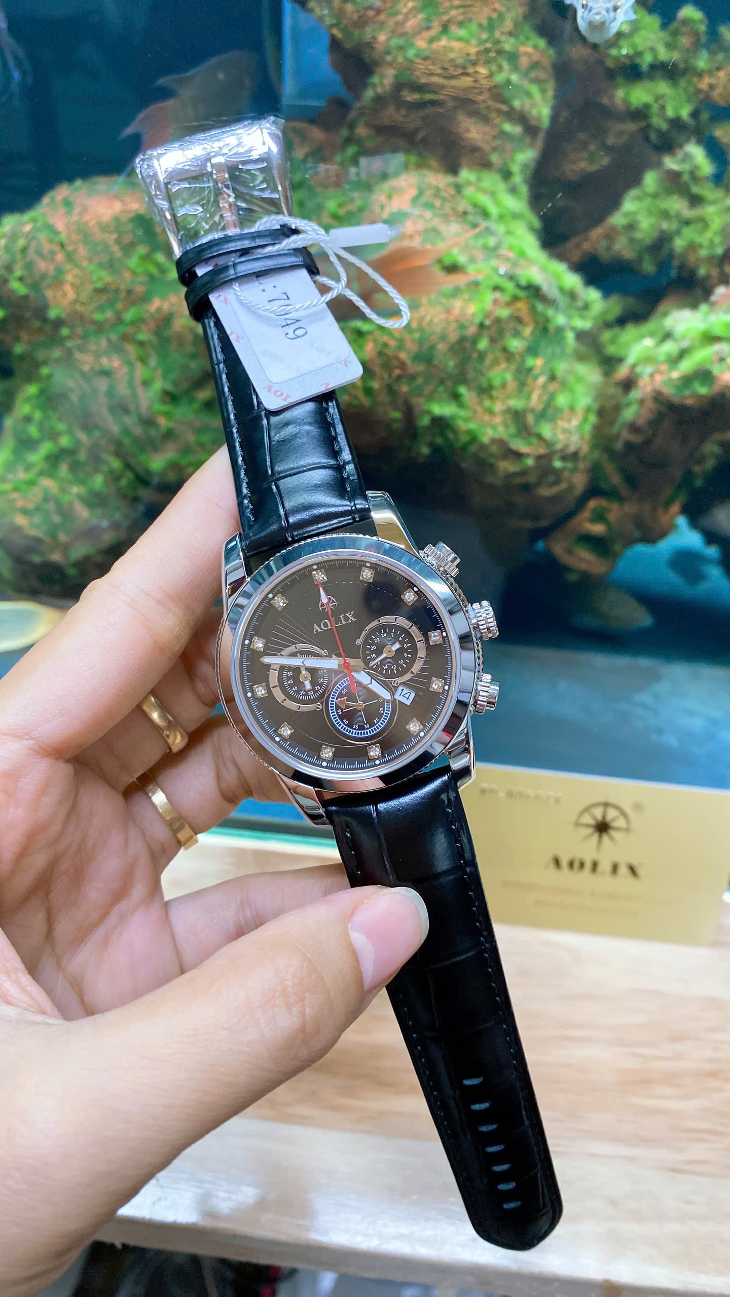 z7187775902940_b29b7f5f196fa8a762322fa9ba357122