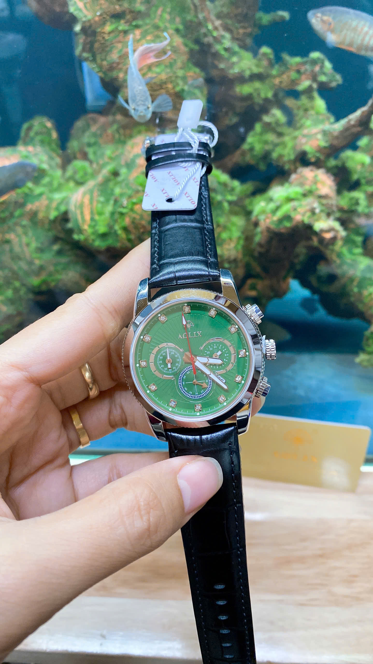 z7187775913516_f4fd4a15bbd246bec89f688987efb908