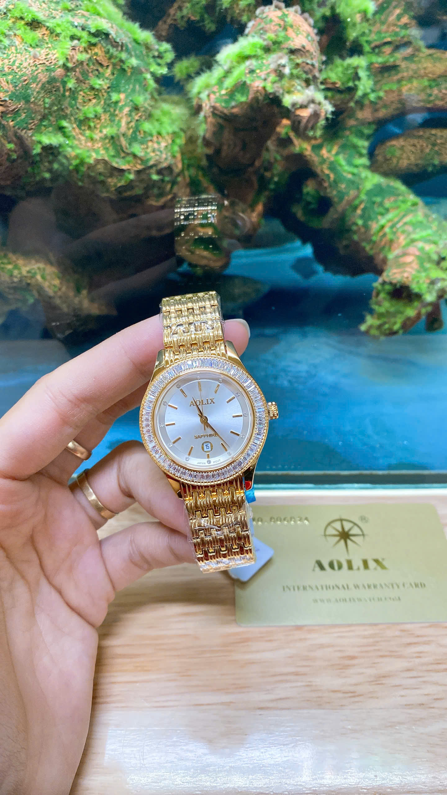 z7188065175812_03df66d8942eb8ee785c3b62a3651f9a