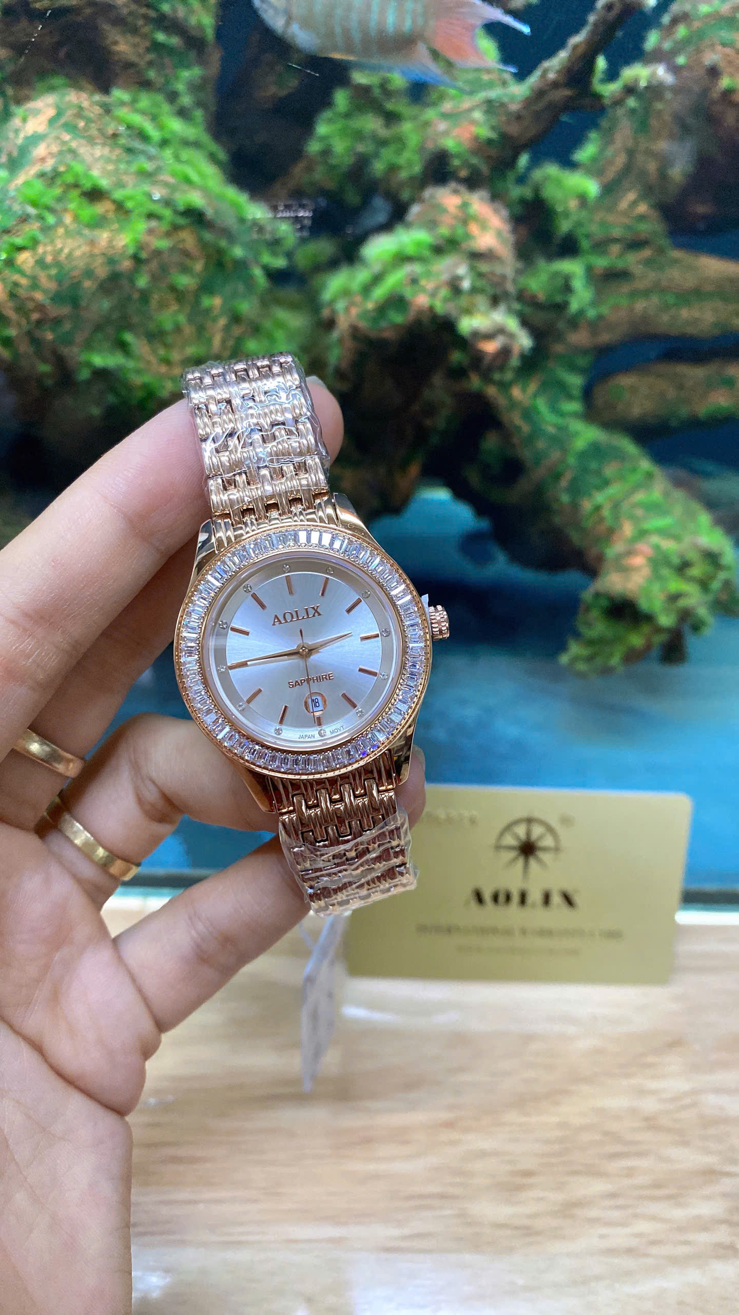 z7188065203849_46084bdb07a79f7bab50c0797aee605b