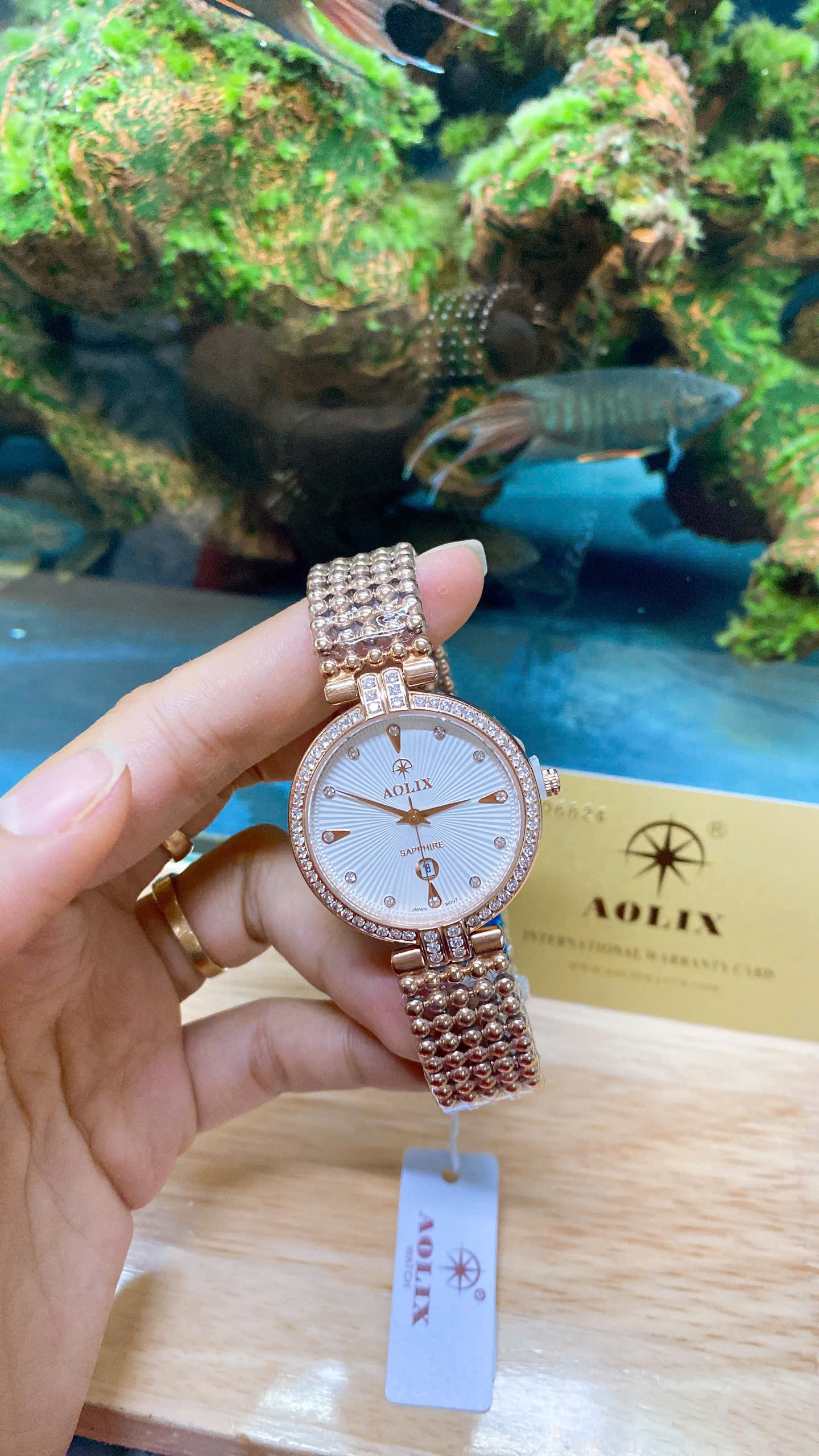 z7188095424461_4aa08d8a5f5155f4563be275ae6059cd