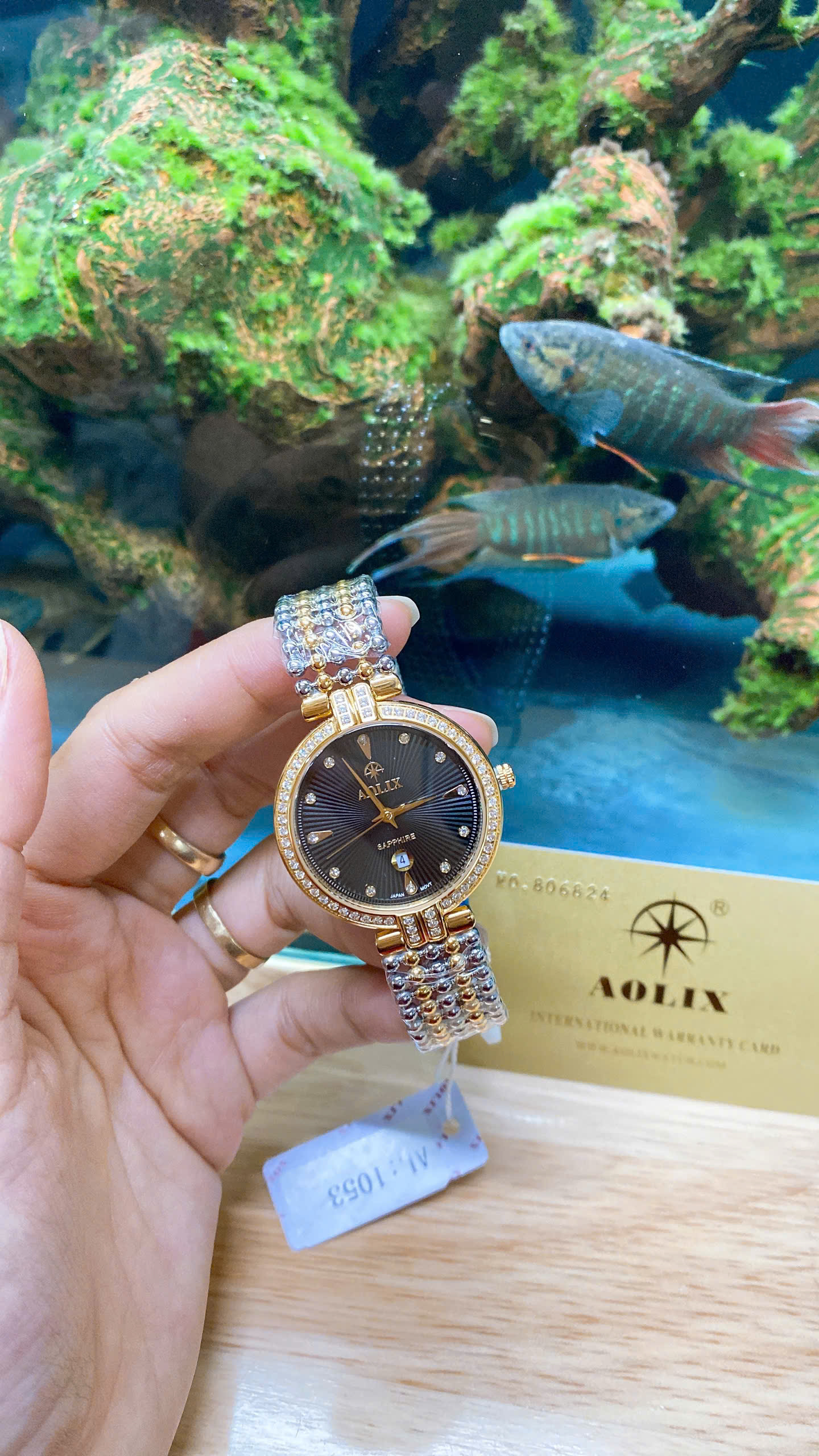 z7188095438853_856ef68f6860ebce10724ae3e3bf00be