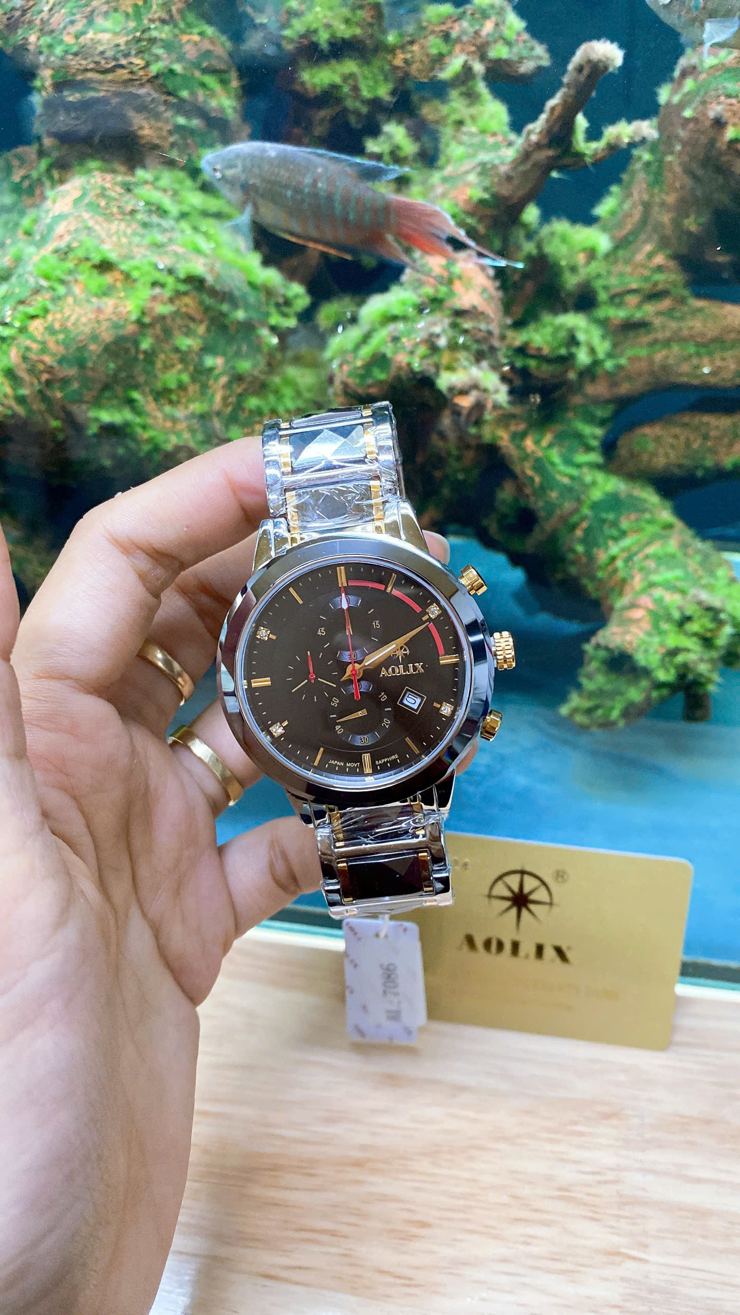 z7188145787829_1123cc8dcc6d34c0dc4fd7ad3fa4b818