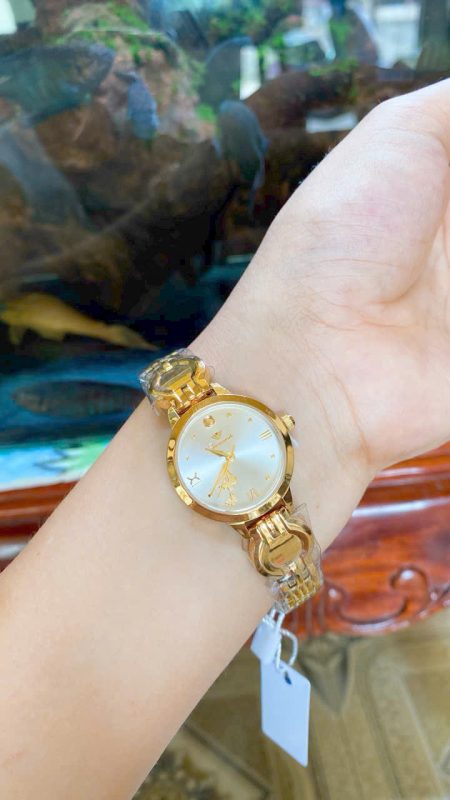 Công Ty TNHH Thương Mại Và Dịch Vụ VB-NPK